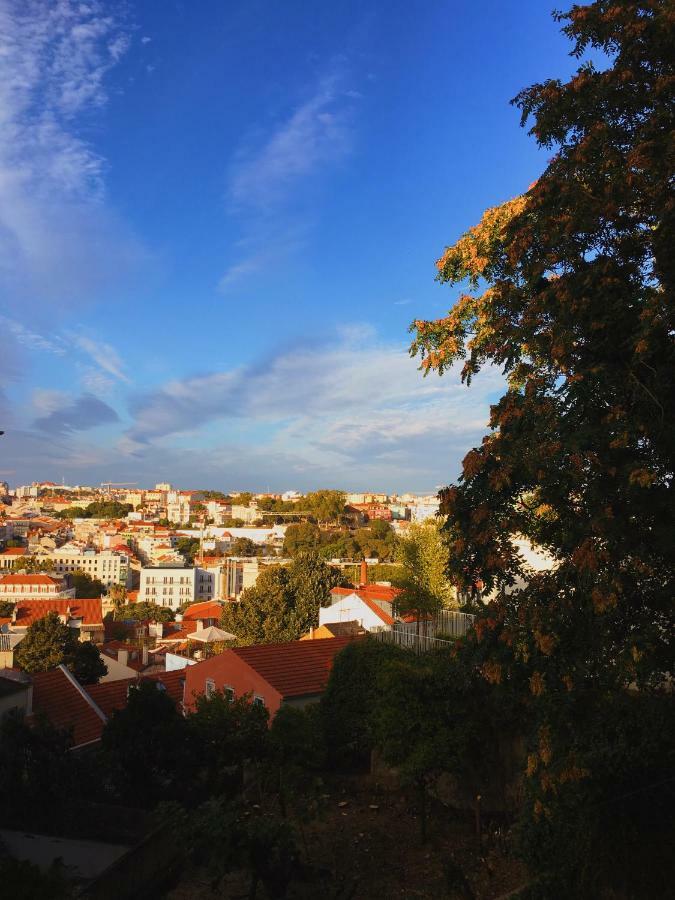 Charm Discovery Principe 7 Lisboa Екстериор снимка